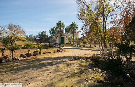 20181222-0516-web.jpg