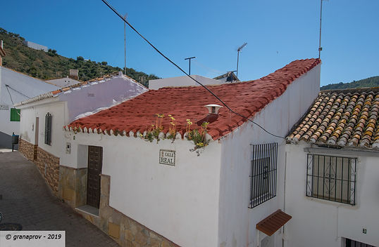 20190427-2062-web.jpg