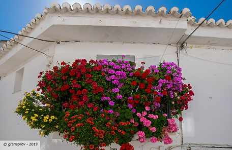 20190427-2051-web.jpg