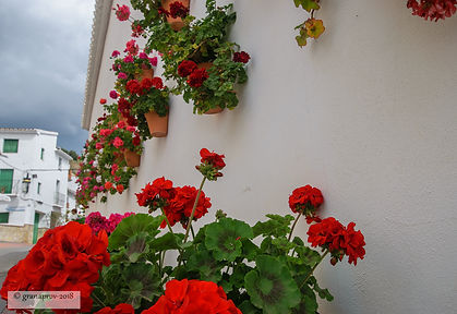 20180501-0483-web01.jpg