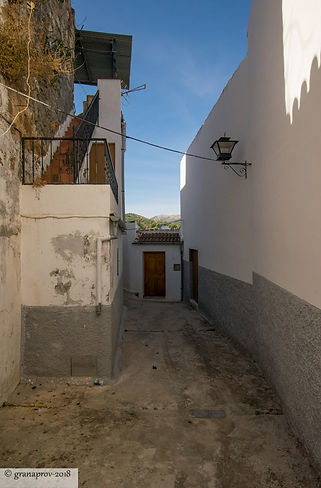 20181013-0877-web.jpg