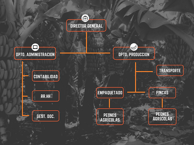 Orange Grey Photo Balanced Scorecard Cha