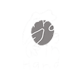 Frog In Hand (3).png