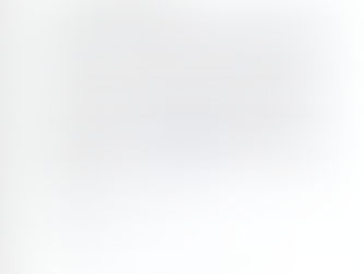 Community Impact Spotlight – Flat Bush School Appreciation