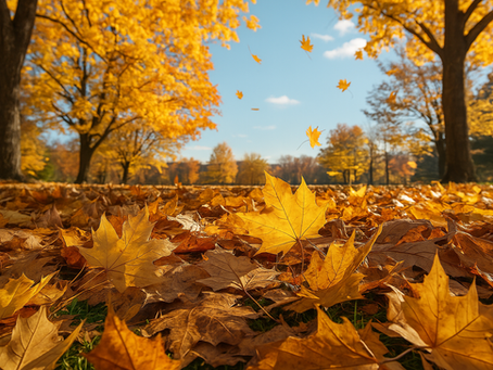 🍁 Fall Festivals, Oktoberfest & Fabulous Updates