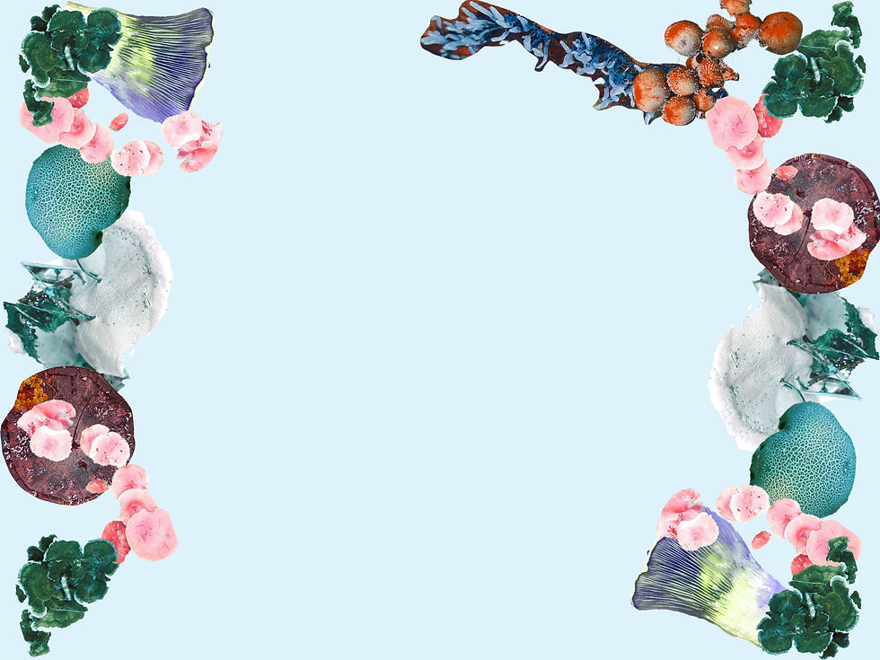 background idea.jpg
