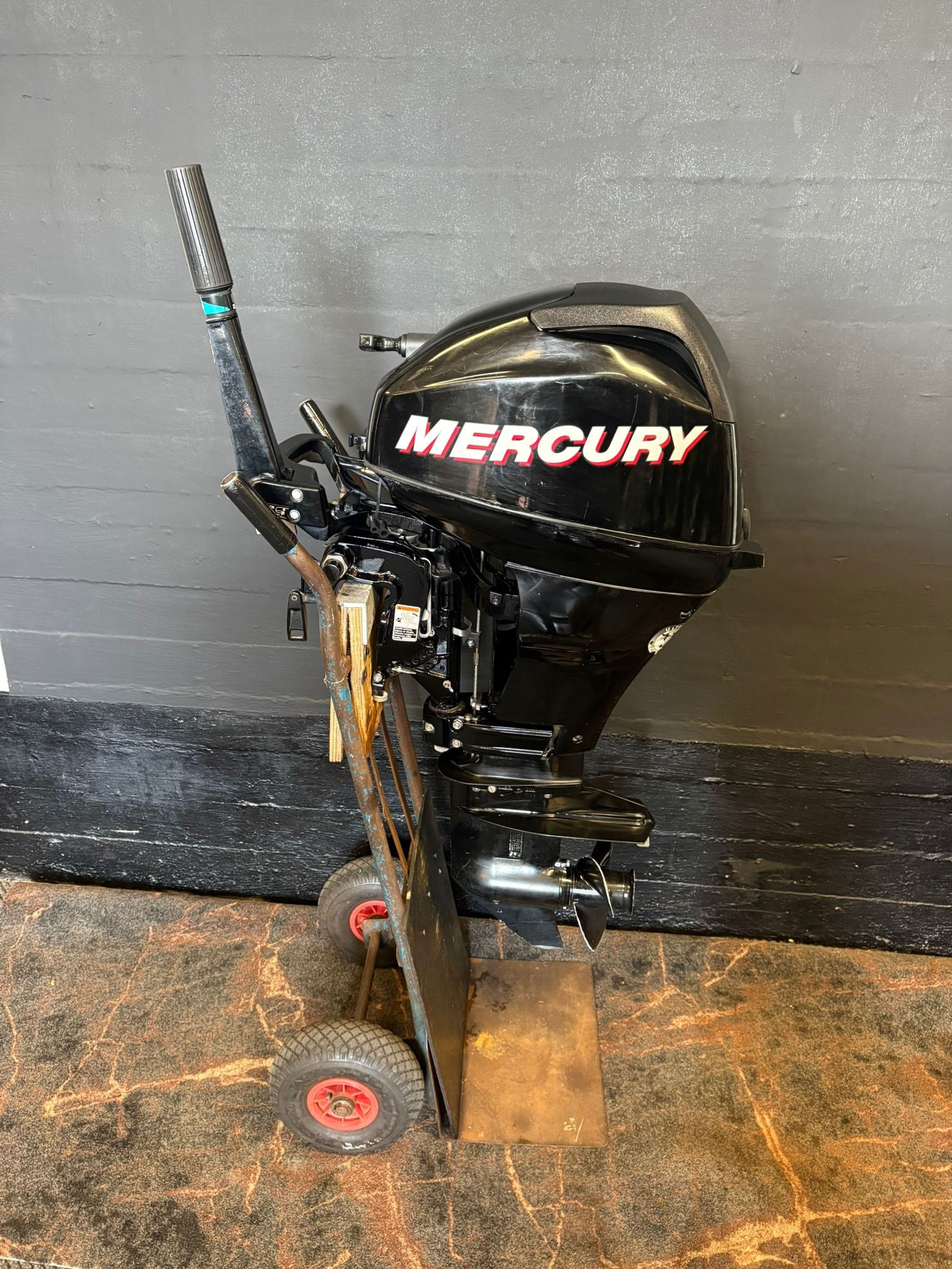 Mercury 15 pk