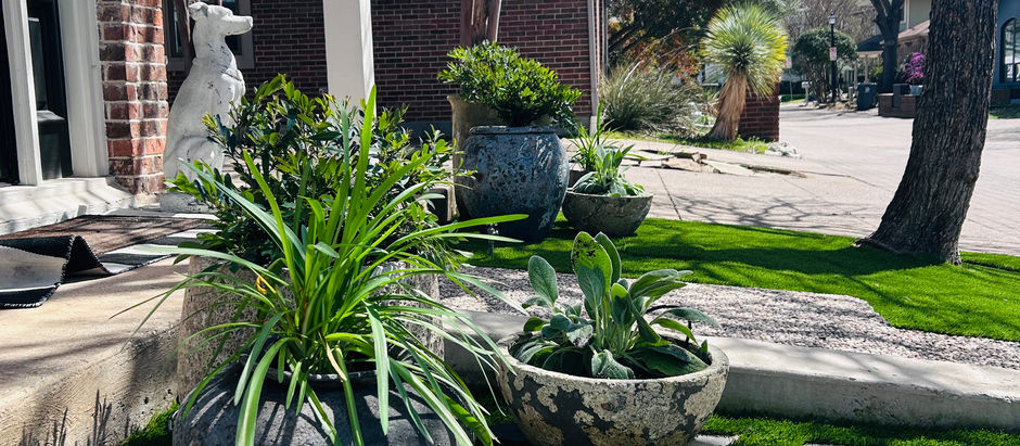 Modern Tranquility at the Curb: A Secret Garden Emerges on Birkenhead