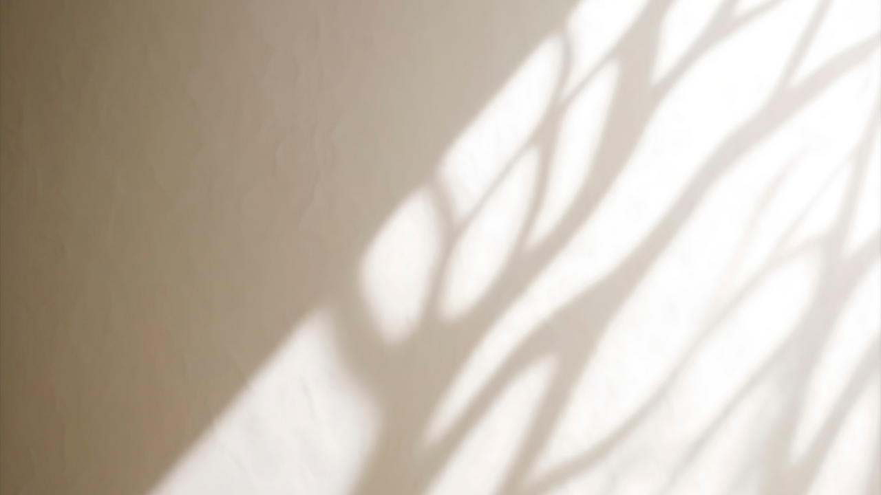 Titel Banner Website (3).png