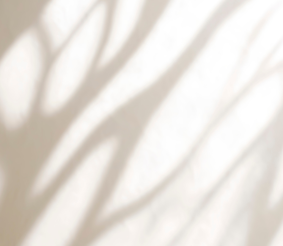 Titel Banner Website (3)_edited.png