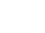 14.png