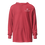 Thumbnail: Unisex Hooded Long Sleeve Tee