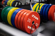 GoFit X Gym Weights