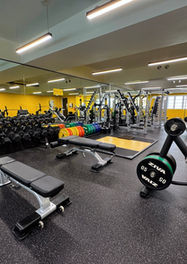 Level 2 Free Weights Zone