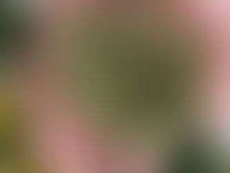 Field Report 002