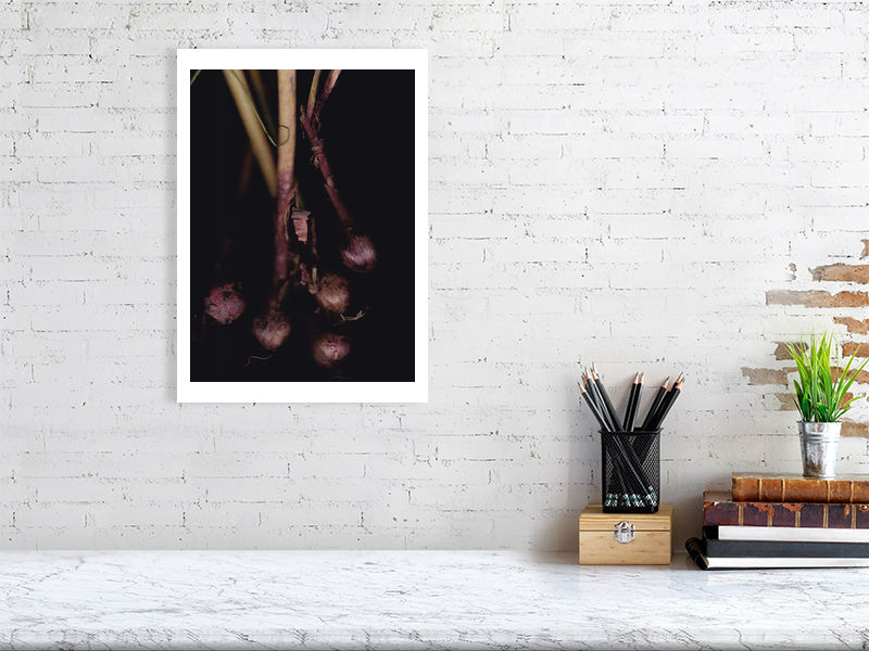 Thumbnail: Onions, Argentina