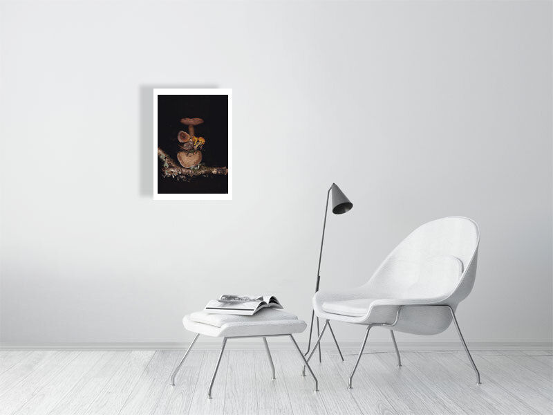 Thumbnail: Vermont Mushroom