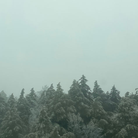 Field Notes for a Turning Year- January