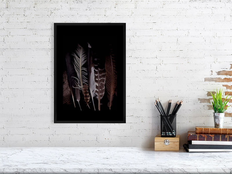 Thumbnail: Vermont Feathers
