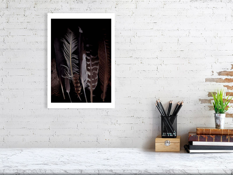 Thumbnail: Vermont Feathers