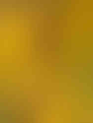 Blair in Asparagus at farm