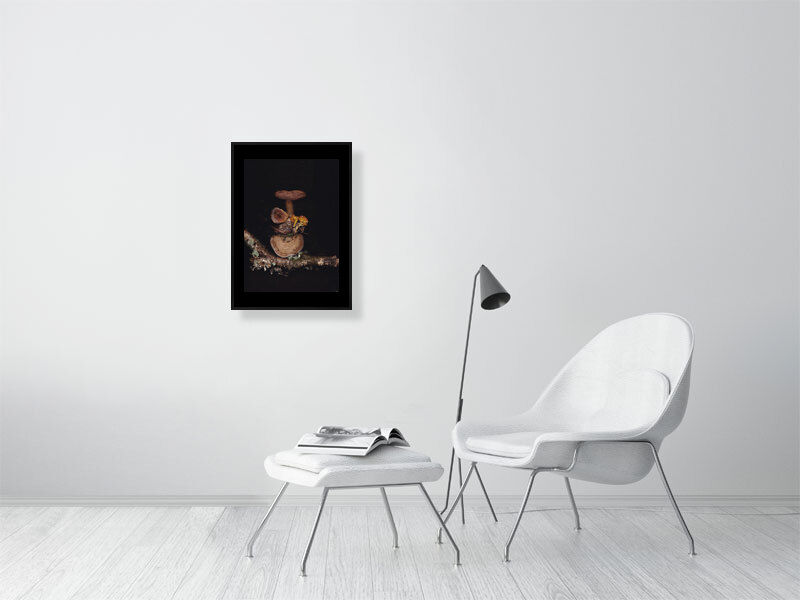Thumbnail: Vermont Mushroom