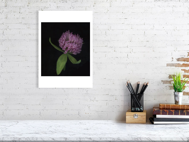 Thumbnail: Red Clover