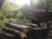 IMG_7709.jpeg