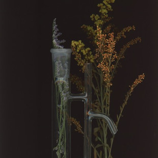 Tracing Plant Alchemy
