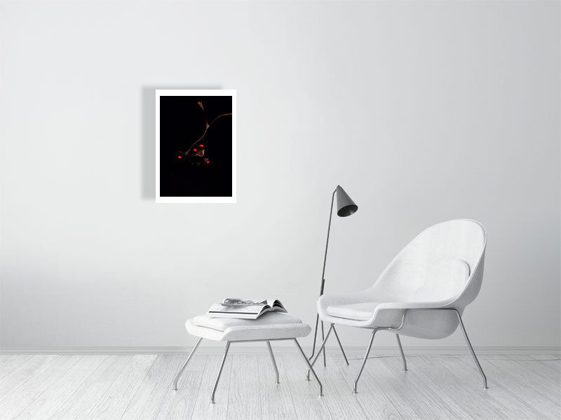 Thumbnail: Seeds of Red
