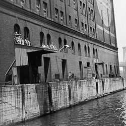 eastriverswim1937.jpeg
