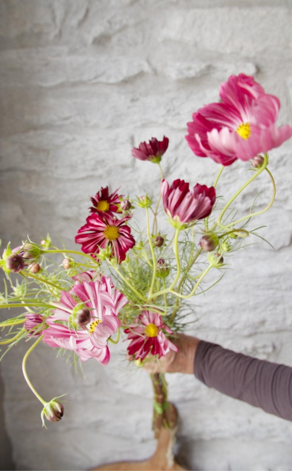 Local wedding flowers cosmos for brides