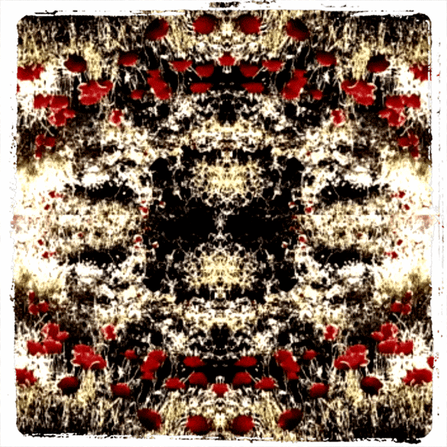 Eye Garden Spectrum By Karen K Soon.gif
