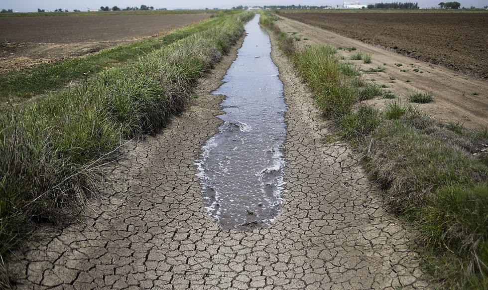 Lack of water in irrigation ditches from snow melt and from the sky.