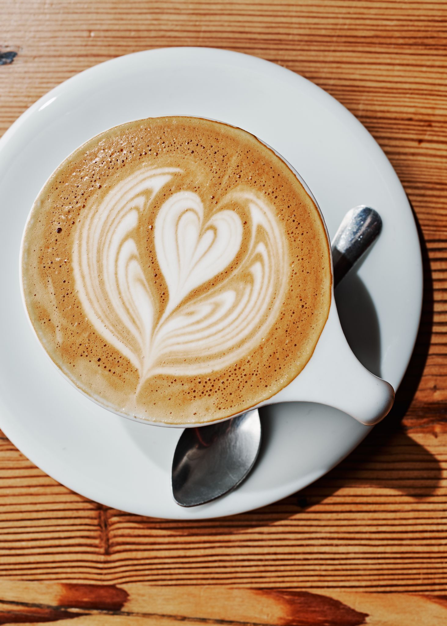 Latte from Undercurrent Coffee at Optimist Hall in Charotte, NC