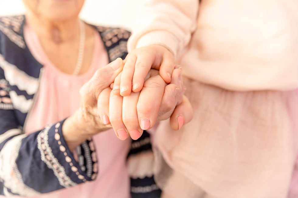 Voor Later - De Generatieshoot