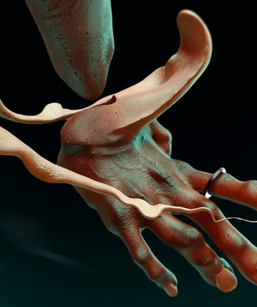 hand-2.jpg