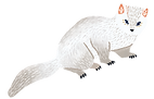 weasel.png