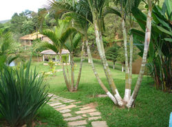 Imagem14