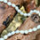 Thumbnail: White pearl necklace resting on a tree branch, close-up composition, nature setting.