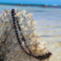 Elegant dark pearl necklace laying on a dried plant by the beach.