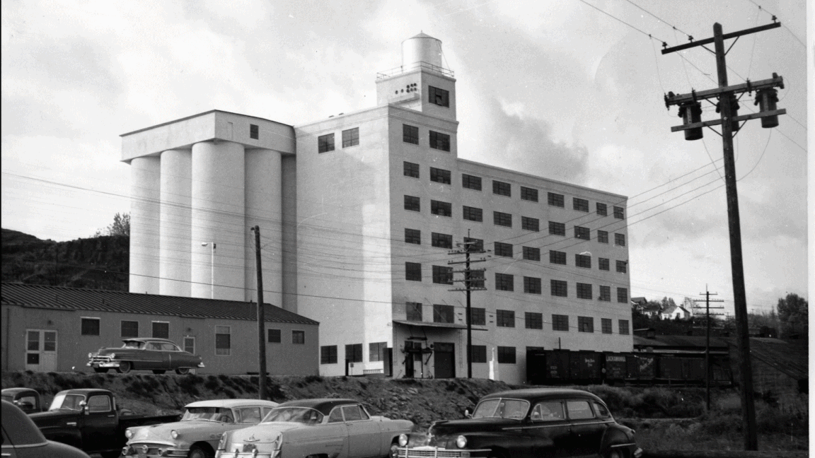 Sunshine Mill Drive-Up Movie