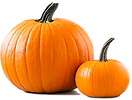 Pumpkin.png