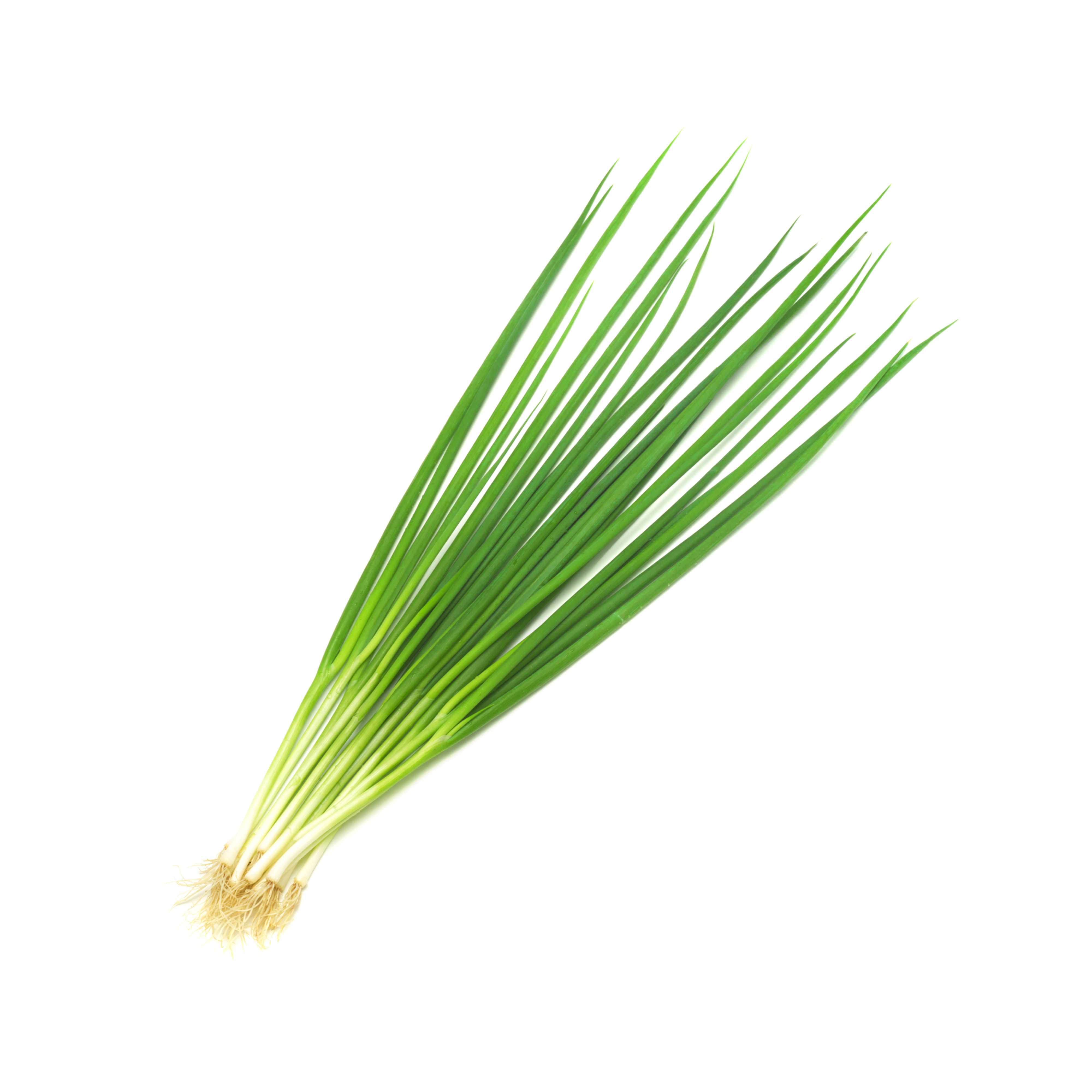 Green Onion/Sliced