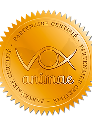 Badge partenaire reseau vox animae