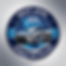 Next Level Mobile Detailing Logo - Version 3.PNG
