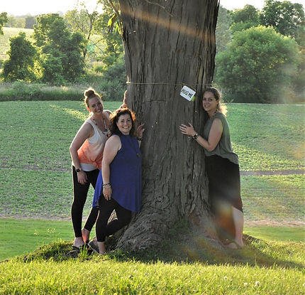 Three women on either side of a large oak tree with a sign that says "Hug me".