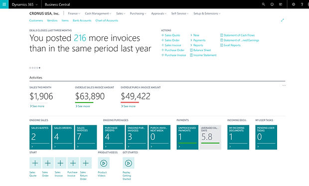 Business Central Home Page
