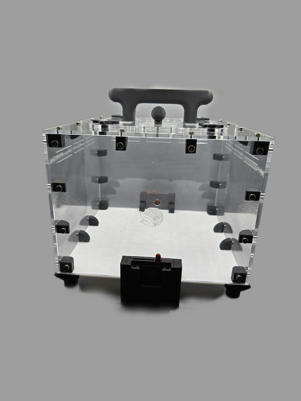 Modular 1:1 Medium Outworld