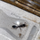 Thumbnail: Myrmecia forficata